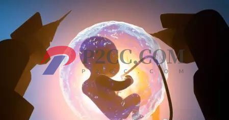 懷孕33周到36周，胎兒發(fā)育成什么樣呢？看看你家胎寶寶發(fā)育達標嗎！(圖1)