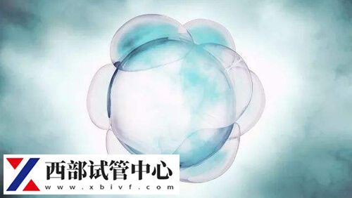 竇卵泡成熟會(huì)長(zhǎng)到18毫米