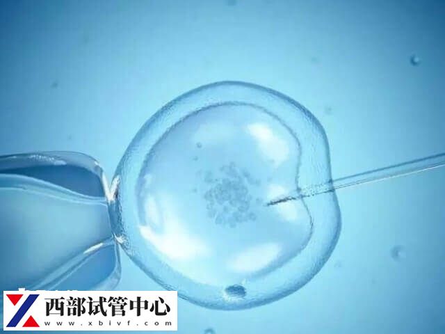 試管移植是現(xiàn)代醫(yī)學(xué)技術(shù)的一項重要成果